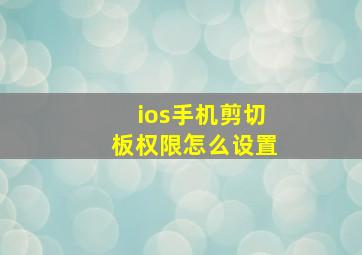 ios手机剪切板权限怎么设置