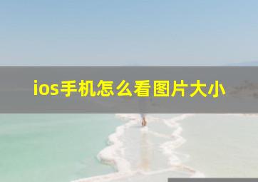 ios手机怎么看图片大小