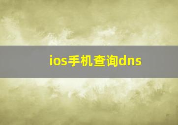 ios手机查询dns