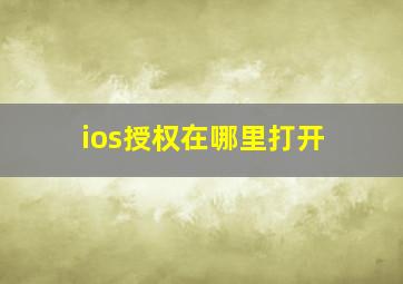 ios授权在哪里打开