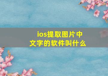 ios提取图片中文字的软件叫什么