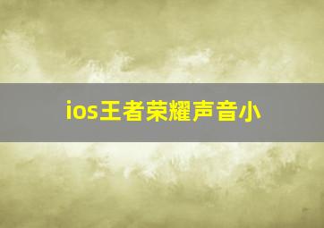 ios王者荣耀声音小