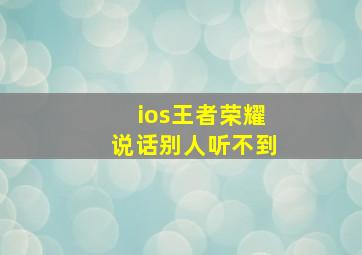 ios王者荣耀说话别人听不到