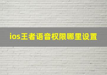 ios王者语音权限哪里设置