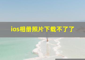 ios相册照片下载不了了