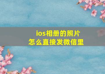 ios相册的照片怎么直接发微信里