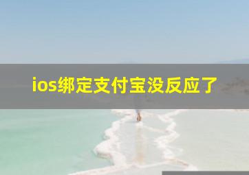 ios绑定支付宝没反应了