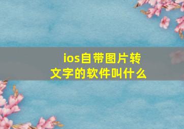 ios自带图片转文字的软件叫什么