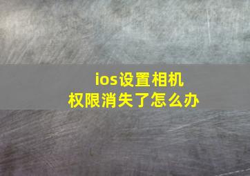 ios设置相机权限消失了怎么办