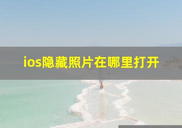 ios隐藏照片在哪里打开