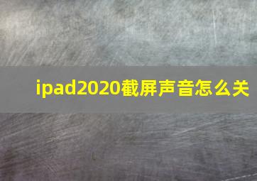 ipad2020截屏声音怎么关