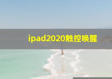 ipad2020触控唤醒