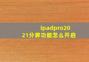 ipadpro2021分屏功能怎么开启