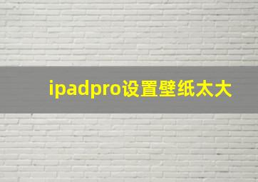 ipadpro设置壁纸太大