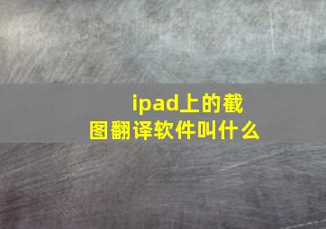 ipad上的截图翻译软件叫什么