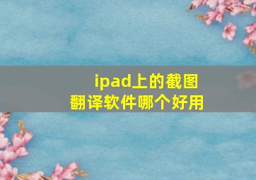 ipad上的截图翻译软件哪个好用