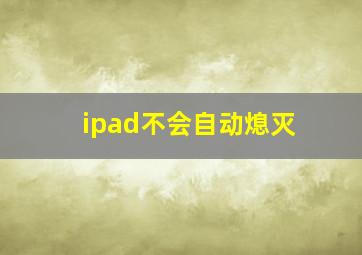 ipad不会自动熄灭