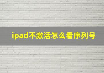 ipad不激活怎么看序列号