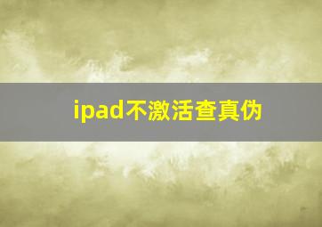 ipad不激活查真伪