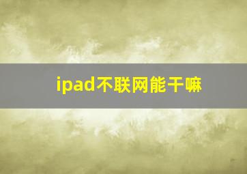 ipad不联网能干嘛