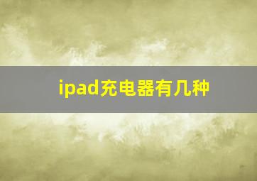 ipad充电器有几种