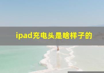 ipad充电头是啥样子的