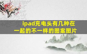 ipad充电头有几种在一起的不一样的图案图片