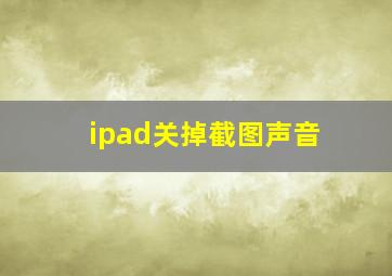 ipad关掉截图声音