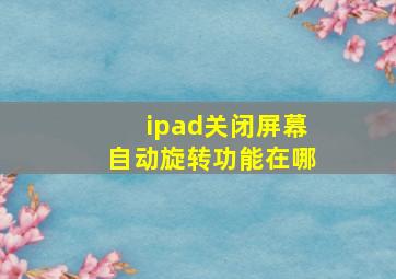 ipad关闭屏幕自动旋转功能在哪