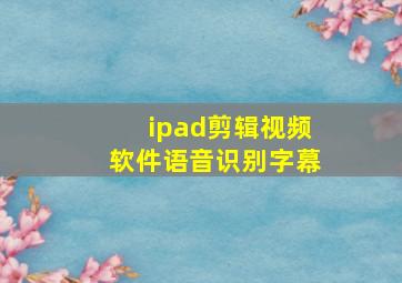 ipad剪辑视频软件语音识别字幕