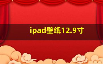 ipad壁纸12.9寸