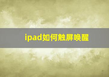 ipad如何触屏唤醒