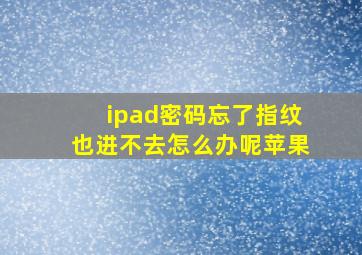 ipad密码忘了指纹也进不去怎么办呢苹果