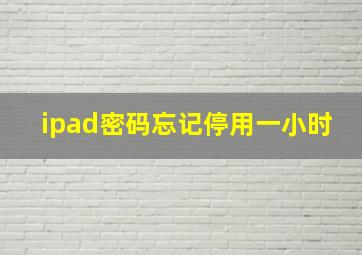 ipad密码忘记停用一小时