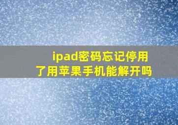 ipad密码忘记停用了用苹果手机能解开吗