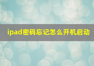 ipad密码忘记怎么开机启动