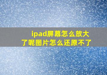 ipad屏幕怎么放大了呢图片怎么还原不了