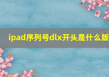 ipad序列号dlx开头是什么版