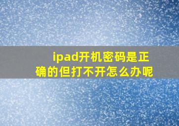 ipad开机密码是正确的但打不开怎么办呢