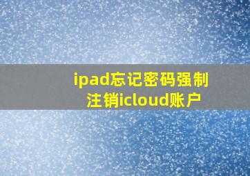 ipad忘记密码强制注销icloud账户