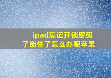 ipad忘记开锁密码了锁住了怎么办呢苹果