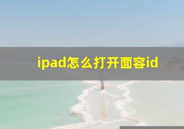 ipad怎么打开面容id