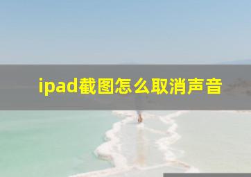 ipad截图怎么取消声音