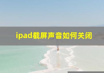 ipad截屏声音如何关闭