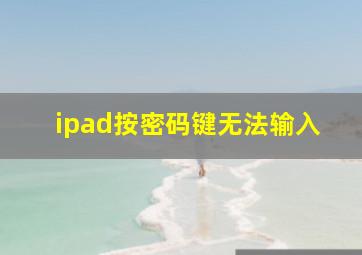 ipad按密码键无法输入