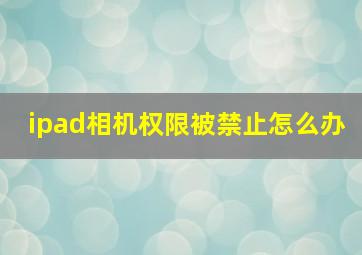 ipad相机权限被禁止怎么办