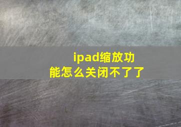 ipad缩放功能怎么关闭不了了