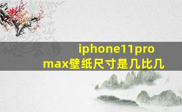 iphone11promax壁纸尺寸是几比几