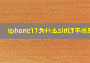 iphone11为什么siri呼不出来