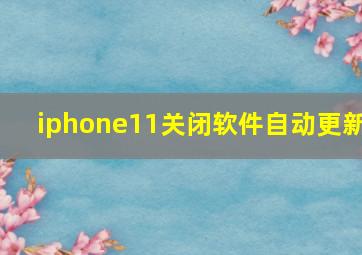 iphone11关闭软件自动更新